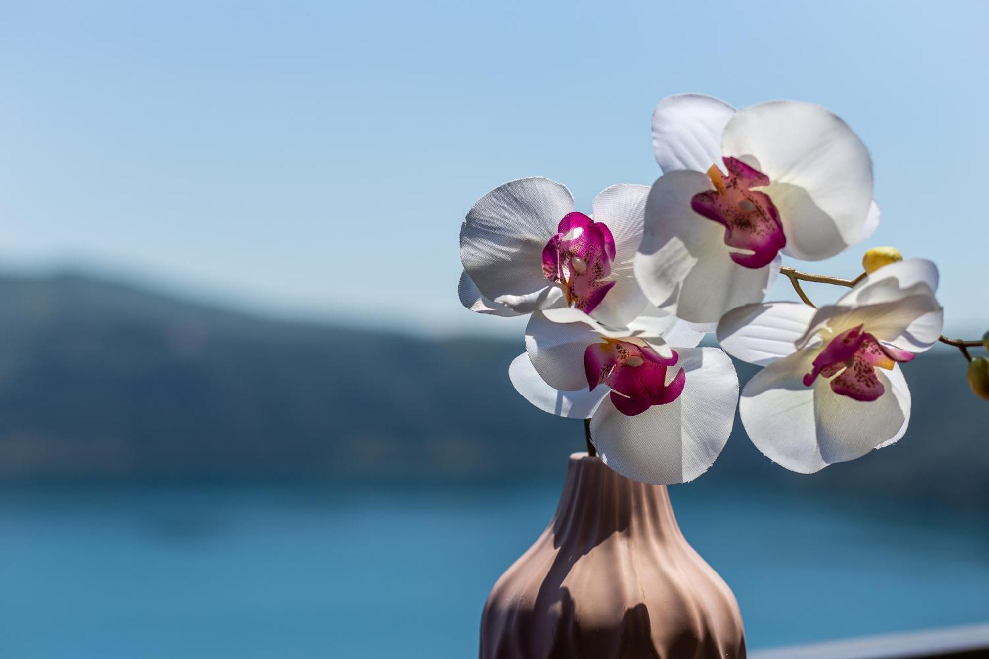 Hotel Castel Gandolfo Bilik gambar